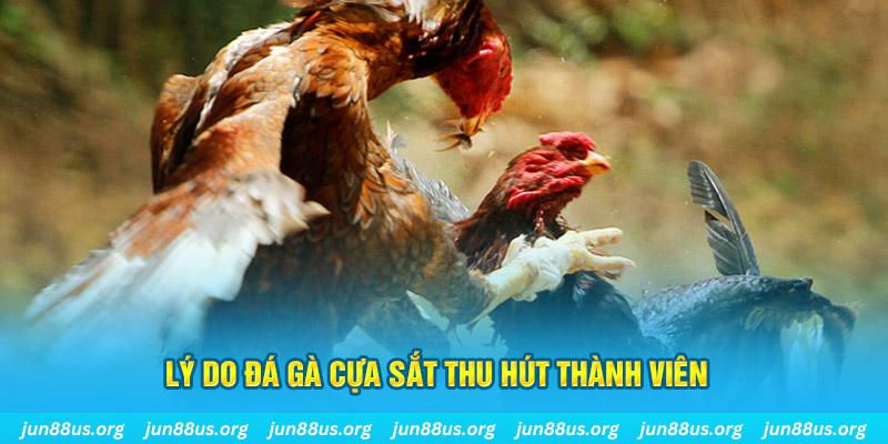 sin 88 chiếm slot là gì