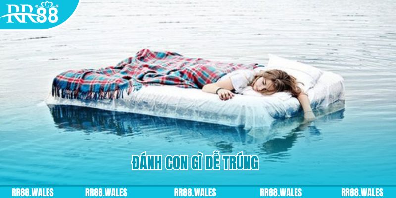 sin 88 đăng nhập liêng hàng đầu