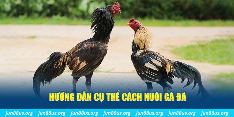 sin 88 đăng nhập sòng bạc số 1