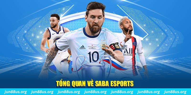 sin 88 kết quả xổ số miền nam